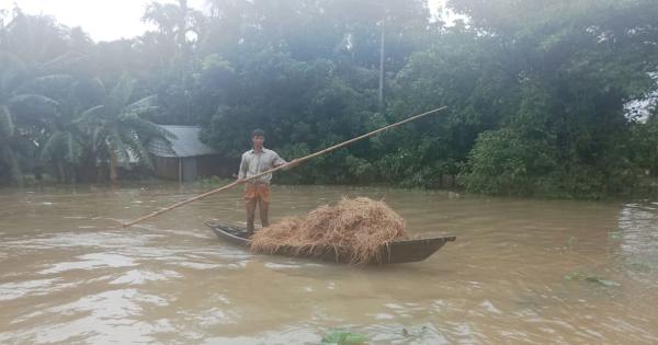 ১০ উপজেলা বন্যা